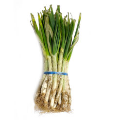 calcot, Calçots, comprar calcots, calcots online