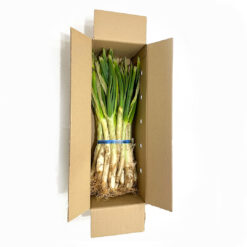 calcot, Calçots, comprar calcots, calcots online