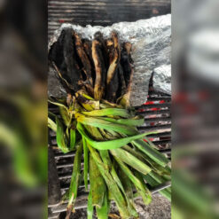 calcots comprar online 3 1 - Manojo Calçots 25 uds