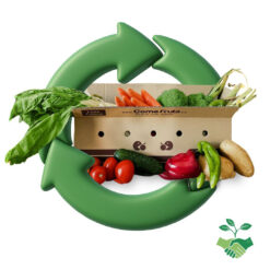 verdura sostenible, verdura del día, verdura cosechada, verduras de temporada, mix de verduras, verduras sostenibles, caja de verduras, verduras variadas, verduras sin seleccionar, verduras de destrío, verduras frescas, verduras a domicilio, verduras económicas, lucha contra el desperdicio alimentario, alimentación sostenible,