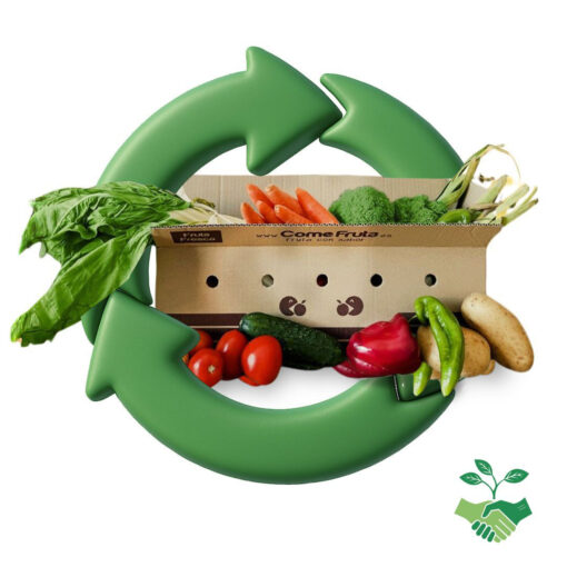 verdura sostenible, verdura del día, verdura cosechada, verduras de temporada, mix de verduras, verduras sostenibles, caja de verduras, verduras variadas, verduras sin seleccionar, verduras de destrío, verduras frescas, verduras a domicilio, verduras económicas, lucha contra el desperdicio alimentario, alimentación sostenible,
