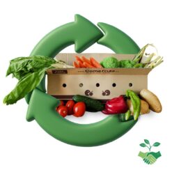 verdura sostenible, verdura del día, verdura cosechada, verduras de temporada, mix de verduras, verduras sostenibles, caja de verduras, verduras variadas, verduras sin seleccionar, verduras de destrío, verduras frescas, verduras a domicilio, verduras económicas, lucha contra el desperdicio alimentario, alimentación sostenible,