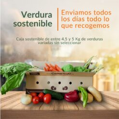 verdura sostenible, verdura del día, verdura cosechada, verduras de temporada, mix de verduras, verduras sostenibles, caja de verduras, verduras variadas, verduras sin seleccionar, verduras de destrío, verduras frescas, verduras a domicilio, verduras económicas, lucha contra el desperdicio alimentario, alimentación sostenible,