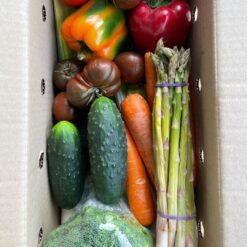 verdura sostenible, verdura del día, verdura cosechada, verduras de temporada, mix de verduras, verduras sostenibles, caja de verduras, verduras variadas, verduras sin seleccionar, verduras de destrío, verduras frescas, verduras a domicilio, verduras económicas, lucha contra el desperdicio alimentario, alimentación sostenible,