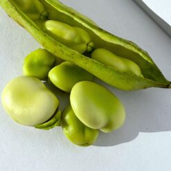 habas frescas, habas tiernas, comprar habas, temporada de habas, legumbres frescas, habas ecológicas, habas a domicilio, habas verdes, recetas con habas, habas naturales, huerta local, producto de temporada, habas gourmet, habas para cocinar,