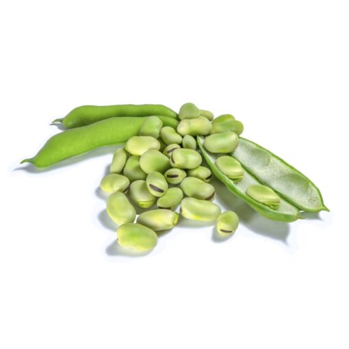 habas frescas, habas tiernas, comprar habas, temporada de habas, legumbres frescas, habas ecológicas, habas a domicilio, habas verdes, recetas con habas, habas naturales, huerta local, producto de temporada, habas gourmet, habas para cocinar,