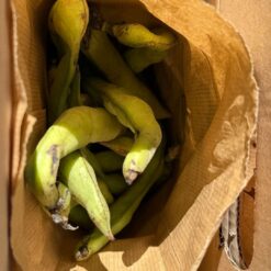 habas frescas, habas tiernas, comprar habas, temporada de habas, legumbres frescas, habas ecológicas, habas a domicilio, habas verdes, recetas con habas, habas naturales, huerta local, producto de temporada, habas gourmet, habas para cocinar,