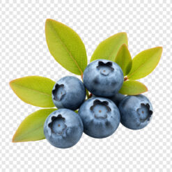 arándano azul, arándano de huelva, arándano españa, arándano online, beneficios arándano, blue berry