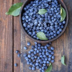 arándano azul, arándano de huelva, arándano españa, arándano online, beneficios arándano, blue berry