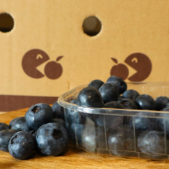 arándano azul, arándano de huelva, arándano españa, arándano online, beneficios arándano, blue berry