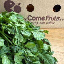cilantro fresco, comprar cilantro, cilantro natural, hierba aromática, cilantro online, cilantro a domicilio, cilantro de calidad, cilantro ecológico, cilantro cultivado en España, manojo de cilantro,