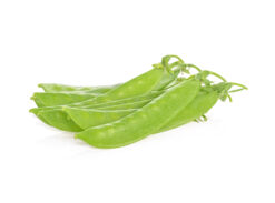 tirabeques online - Tirabeques