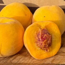 melocotón embolsado, melocotón embolsado de Calanda, comprar melocotón embolsado, melocotones embolsados online, melocotón de Calanda DOP, melocotón embolsado a domicilio, melocotón amarillo embolsado, melocotón natural embolsado, melocotón ecológico embolsado, melocotón embolsado España