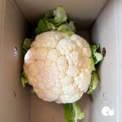 coliflor, comprar coliflor, coliflor fresca, coliflor online, coliflor a domicilio, verdura fresca, coliflor ecológica, coliflor natural, coliflor saludable, coliflor de temporada, verduras a domicilio, coliflor España