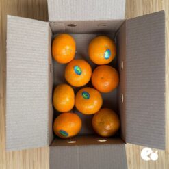 Mandarina Orri, comprar mandarina Orri, mandarinas Orri online, mandarinas dulces, mandarinas crujientes, mandarinas fáciles de pelar, mandarinas Comunidad Valenciana, cítricos valencianos, mandarinas de calidad, mandarinas premium, fruta fresca online, mandarinas a domicilio,