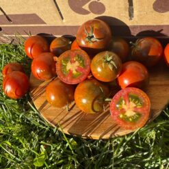 tomate cherry de terroir, comprar tomate cherry, tomate cherry online, tomate cherry gourmet, tomate cherry ecológico, tomate cherry fresco, tomate cherry huerta, tomate cherry natural, tomate cherry auténtico, tomate cherry a domicilio, tomate cherry temporada, tomate cherry premium, tomate cherry calidad