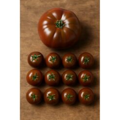 tomate cherry de terroir