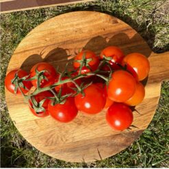 tomates cherry rama, tomate cherry, tomates cherry frescos, tomate en rama, cherry rama, tomates pequeños, tomates dulces, tomates jugosos, tomates de temporada, comprar tomates cherry, tomates cherry online, tomates cherry a domicilio
