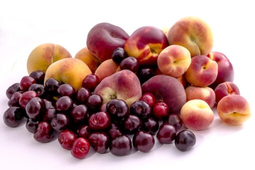 Mix de fruta de temporada