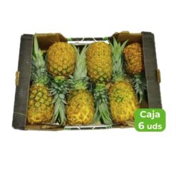 comprar piña online, piña a domicilio, piña fresca, piña natural, piña ecológica, piña de calidad, piña dulce, piña tropical, envío de piña, piña en oferta, piña premium, comprar fruta online, fruta a domicilio, piña por internet, tienda de piña online, piña extradulce