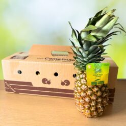 comprar piña online, piña a domicilio, piña fresca, piña natural, piña ecológica, piña de calidad, piña dulce, piña tropical, envío de piña, piña en oferta, piña premium, comprar fruta online, fruta a domicilio, piña por internet, tienda de piña online, piña extradulce