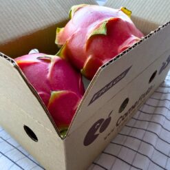 Pitaya, fruta del dragón, dragon fruit, fruta exótica, pitahaya, saludable, antioxidante, rica en fibra, superalimento, tropical, vitamina C, hidratante, piel rosada, pulpa blanca, pulpa roja, semillas negras, digestión, bajo en calorías, dulce, refrescante, fruta nutritiva.