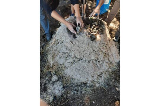 bocashi - Bocashi, qué es, cómo prepararlo y utilizarlo