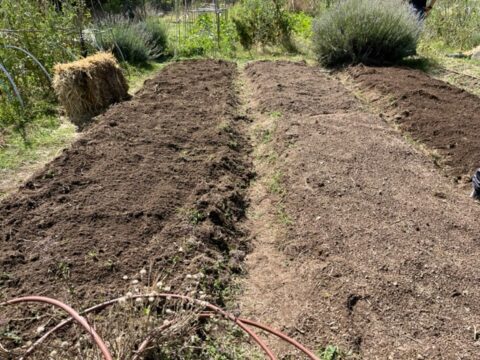 enmiendas preparacion suelo huerta madrid - Preparar suelo para huerta de cultivo en agricultura regenerativa, enmiendas y humus lombriz