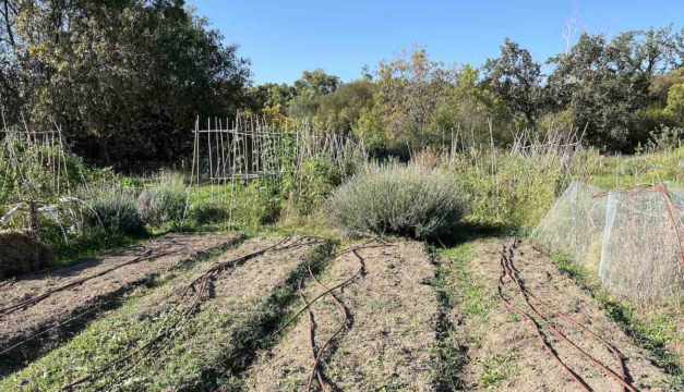 huerto invierno sierra madrid red - Huerta de invierno en Madrid con agricultura regenerativa