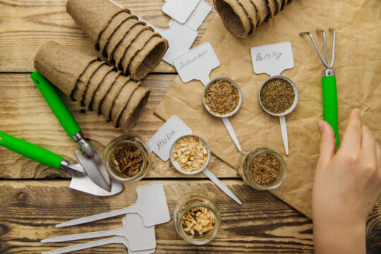 semillas para agricultura regenerativa