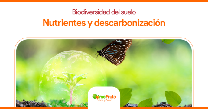 Biodiversidad nutrientes y descarbonizacion - Biodiversidad del suelo: Alimentos con nutrientes y descarbonización