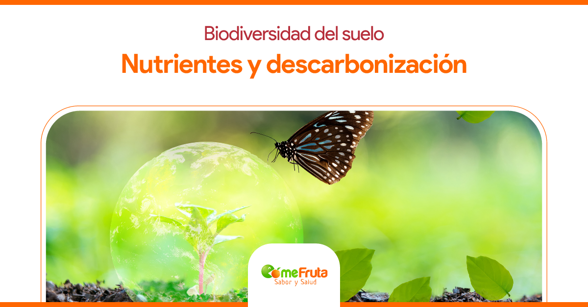 Biodiversidad nutrientes y descarbonizacion - Biodiversidad del suelo: Alimentos con nutrientes y descarbonización