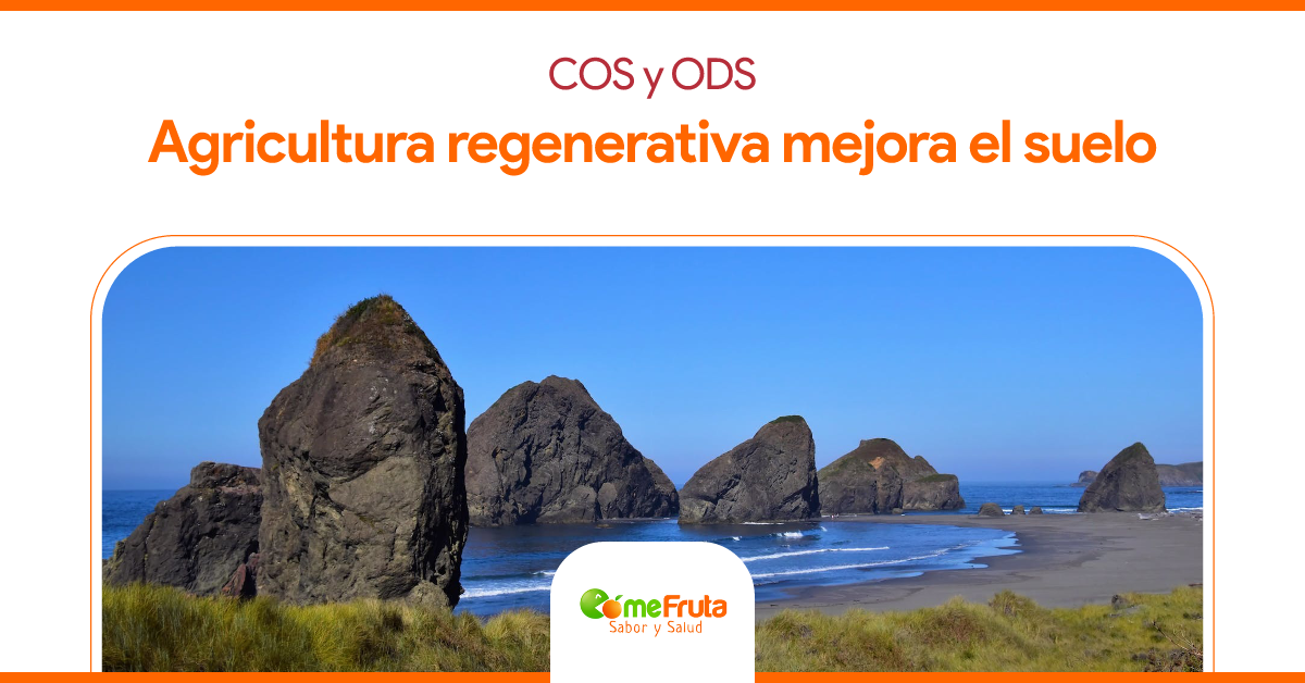 ods cos y agricultura regenerativa para mejorar el suelo