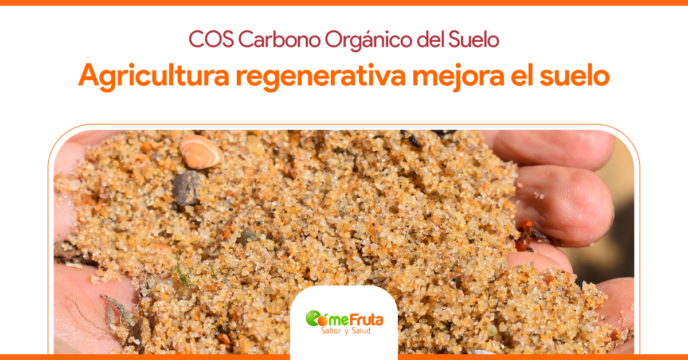 Descarbonificacion ComeFruta Landscape 24 2 - Agricultura Regenerativa y COS: Revitalizando Nuestros Suelos para un Futuro Sostenible