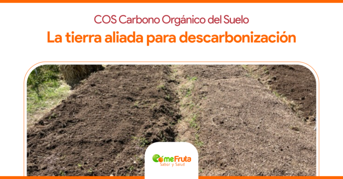 Descarbonificacion ComeFruta Landscape 24 - Carbono Orgánico del Suelo (COS): Solución para la descarbonización