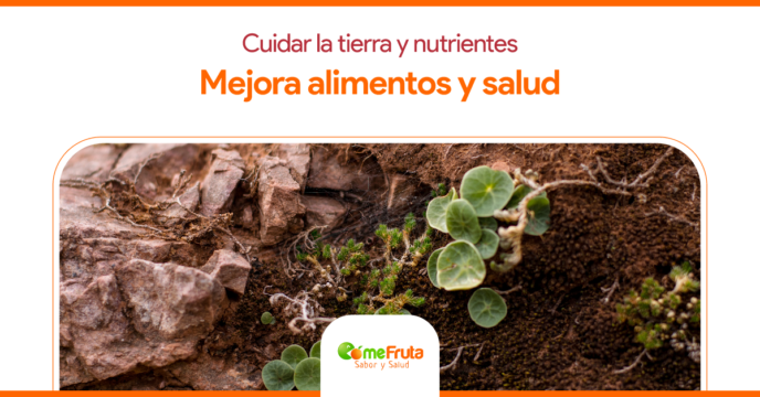 cuidar tierra y nutrientes mejora alimentos y salud