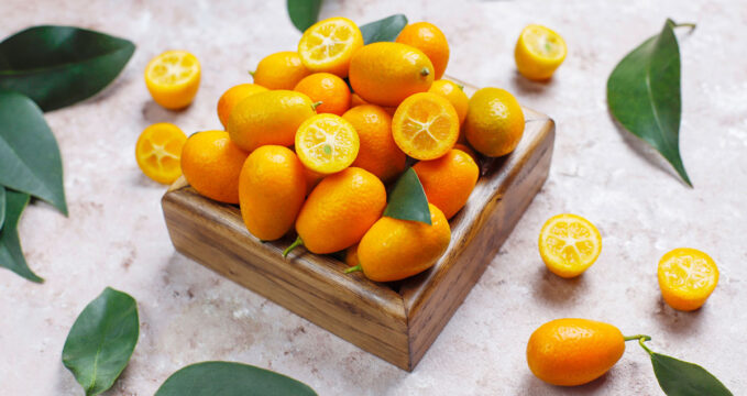 kumquat, kumquat precio, precio kumquat, kumquat precio 1 kg, kumquat españa, citrus fortunella