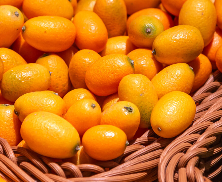 kumquat, kumquat precio, precio kumquat, kumquat precio 1 kg, kumquat españa, citrus fortunella