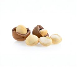 Nueces de Macadamia