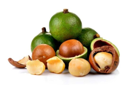 Nueces de Macadamia