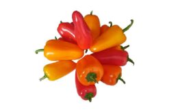 Pimiento dulce tricolor