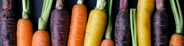 zanahoria morada, beneficios de la zanahoria, como es la zanahoria morada, propiedades zanahoria morada