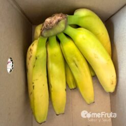 plátanos de Canarias, comprar plátanos online, plátanos Cavendish, plátanos de La Palma, plátanos frescos, plátanos naturales, plátanos madurados, fruta de Canarias, fruta de La Palma, plátanos premium,