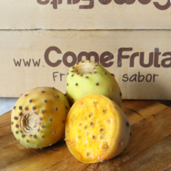 Higo Chumbo, tuna, Opuntia, nopal, cactus, fruto del desierto, fruto comestible, planta suculenta, cultivo de cactus, medicina natural, alimentos exóticos, frutos silvestres.