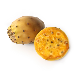 Higo Chumbo, tuna, Opuntia, nopal, cactus, fruto del desierto, fruto comestible, planta suculenta, cultivo de cactus, medicina natural, alimentos exóticos, frutos silvestres.