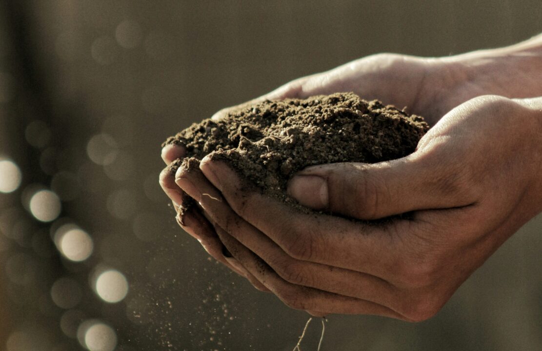 tierra fertil agricultura regenerativa suelo - Beneficios de la Agricultura Regenerativa: Más allá de la sostenibilidad