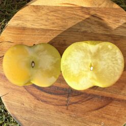 manzana de hielo, manzana especial, manzana congelada, manzana unica, manzana dulce, manzana online, manzana españa