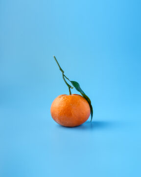 Mandarina Orri