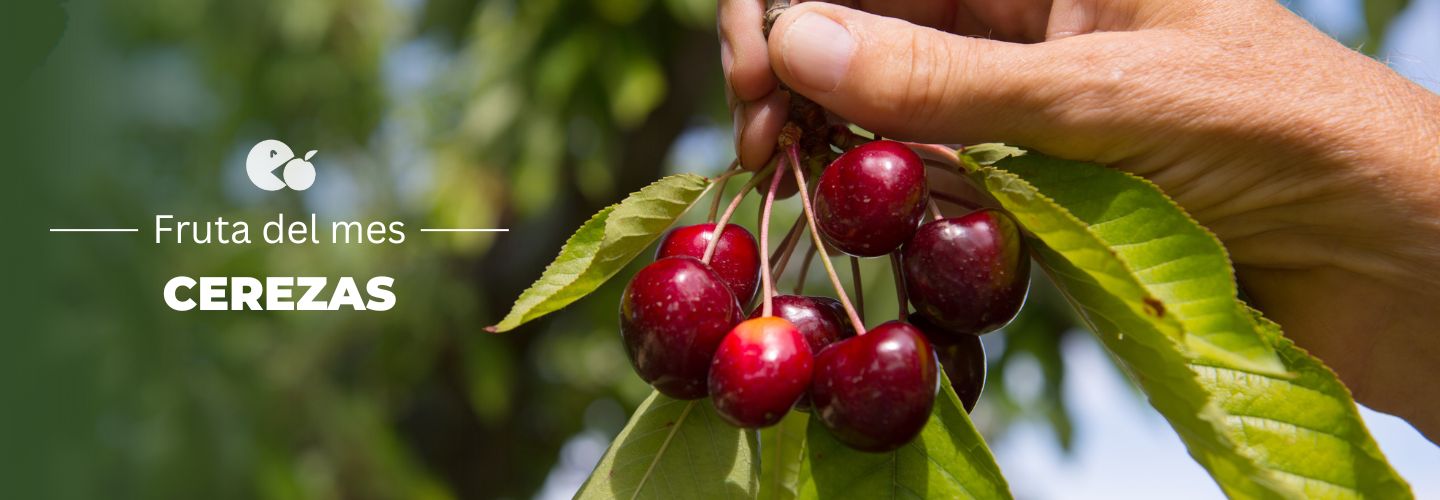 cerezas, comprar cerezas online, cerezas frescas, cerezas a domicilio, cerezas de temporada, cerezas directas del agricultor, cerezas dulces, fruta de hueso, cerezas naturales