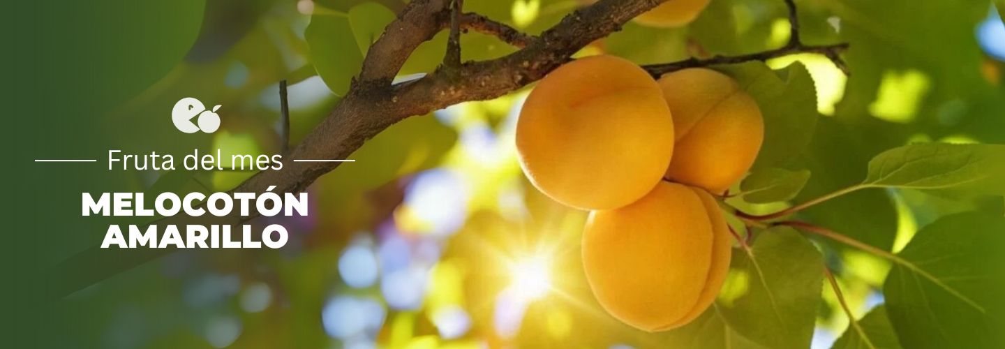 melocotón amarillo, comprar melocotón online, melocotón fresco a domicilio, melocotón de temporada, melocotón dulce, melocotón natural, melocotón directo del agricultor, melocotón sin cámaras, fruta de verano online, melocotón español, melocotón jugoso, melocotón sostenible